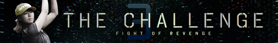 THE CHALLENGE3