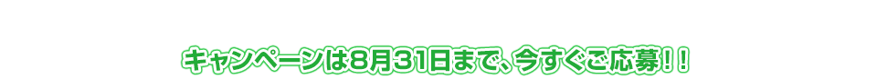 キャンペーンは8月31日まで、今すぐご応募！！
