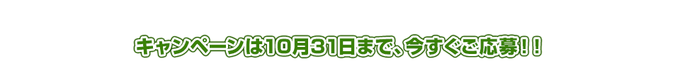 キャンペーンは10月31日まで、今すぐご応募！！
