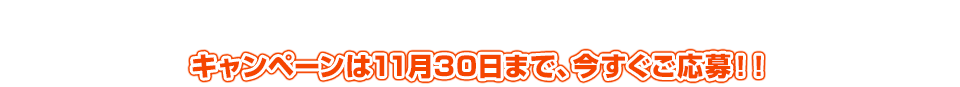 キャンペーンは11月30日まで、今すぐご応募！！