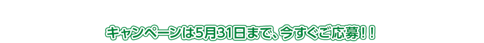 キャンペーンは5月31日まで、今すぐご応募！！