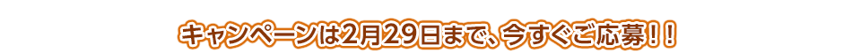 キャンペーンは2月29日まで、今すぐご応募！！