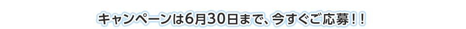 キャンペーンは6月30日まで、今すぐご応募！！