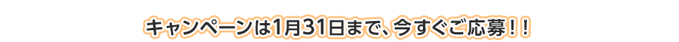 キャンペーンは1月31日まで、今すぐご応募！！
