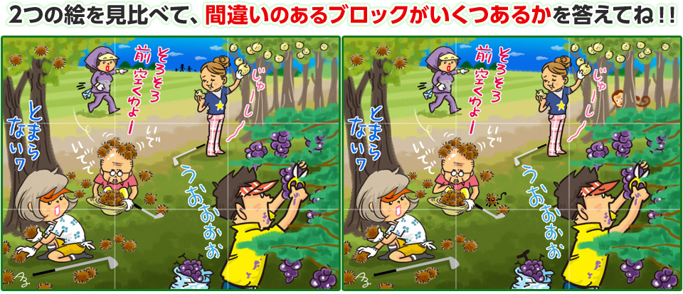 2つの絵を見比べて、間違いのあるブロックがいくつあるかを答えてね